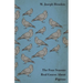 The Four Seasons Real Course about Pigeons