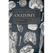 Henry Gray's Anatomy: Surgical and Descriptive
