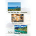 The Also Ran: But a Champion: The Travels of a Kayak: From Carriacou to Oahu