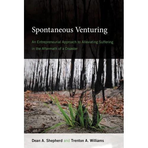 Spontaneous Venturing: An Entrepreneurial Approach to Alleviating Suffering in the Aftermath of a Disaster