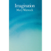 Imagination
