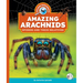 Amazing Arachnids: Spiders and Their Relatives