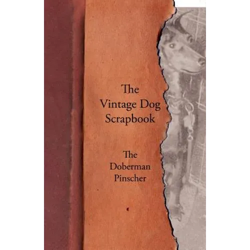 The Vintage Dog Scrapbook - The Doberman Pinscher