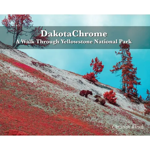 DakotaChrome: A Walk Through Yellowstone National Park