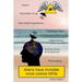 Aliens have invisible mind control UFOs