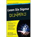 Lean Six Sigma For Dummies