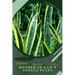 Mother-in-law's Tongue Plant: Plant Guide