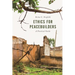 Ethics for Peacebuilders: A Practical Guide