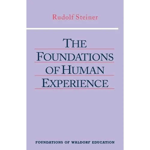 The Foundations of Human Experience: (Cw 293 & 66) Volume 1