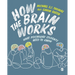 How the Brain Works: What Psychology Students Need to Know