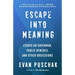 Escape Into Meaning: Essays on Superman, Public Benches, and Other Obsessions