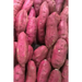 Sweet Potatoes: The Sweet Potato Is a Dicotyledonous Plant That Belongs to the Bindweed or Morning Glory Family, Convolvulaceae. Its L