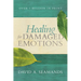 Healing for Damaged Emotions