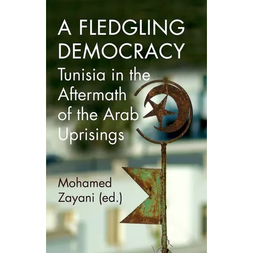 A Fledgling Democracy: Tunisia in the Aftermath of the Arab Uprisings