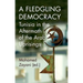 A Fledgling Democracy: Tunisia in the Aftermath of the Arab Uprisings