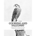 Coursing and Falconry