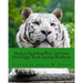 Hands to Spell-Read-Write: 3rd Grade Dolch Sight Words Spelling Workbook