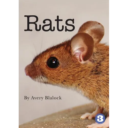 Rats