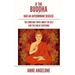 If The Buddha Had An Autoimmune Disease: The Shocking Truth About The Self And The End Of Suffering