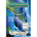 The Butterfly Ballerina Collection: The Interactive Healing Devotional for All Women