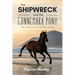 The Shipwreck and the Connemara Pony - The Coral Cove Horses Series