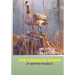 The Canadian Goose: The Canadian goose and how to raise the young
