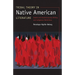 Tribal Theory in Native American Literature: Dakota and Haudenosaunee Writing and Indigenous Worldviews