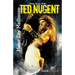 Motor City Madhouse: Going Gonzo with Ted Nugent