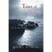 Tao of Surfing: Finding Depth at Low Tide