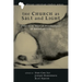 The Church as Salt and Light: Path to an African Ecclesiology of Abundant Life