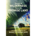 Through the Wilderness Before the Promise Land
