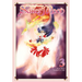 Sailor Moon 3 (Naoko Takeuchi Collection)