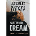 Detailed Pieces of a Shattered Dream