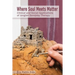 Where Soul Meets Matter: Clinical and Social Applications of Jungian Sandplay Therapy