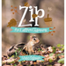 Zip: An Eastern Chipmunk