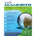 Math Mammoth Grade 3-A Worktext