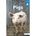 Pigs