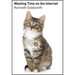 Wasting Time on the Internet