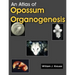An Atlas of Opossum Organogenesis: Opossum Development