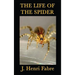 The Life of the Spider