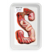 S (Paperback)