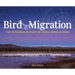 Bird Migration: The Incredible Journeys of North American Birds
