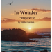 In Wonder ("Hayret")