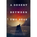 A Desert Between Two Seas: A Novel in Stories