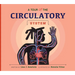 A Tour of the Circulatory System