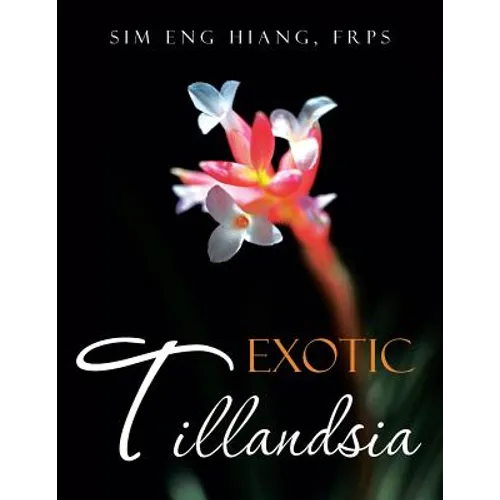 Exotic Tillandsia