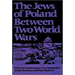 The Jews of Poland Between Two World Wars
