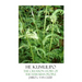 He Kumulipo: The Creation Story Of The Hawaiian People