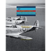 Fighter Leaders: of the RAF, RAAF, RCAF, RNZAF & SAAF in WW2