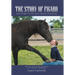 The Story of Figaro: The Story of My Real Black Stallion